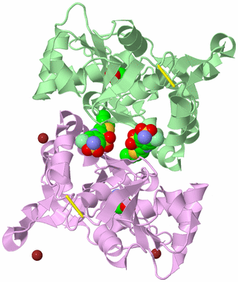 Image Biological Unit 1