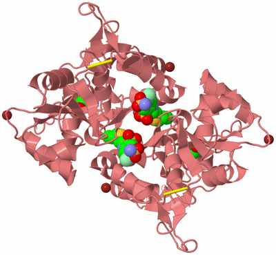 Image Biological Unit 2