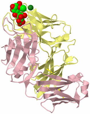 Image Biological Unit 2