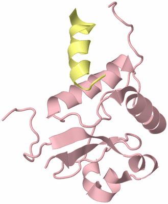 Image Biological Unit 3