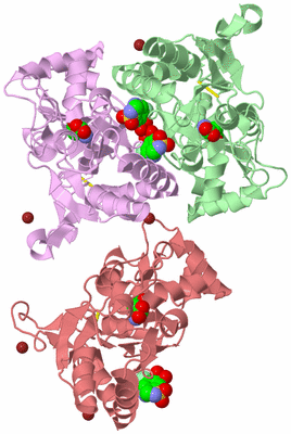 Image Asym./Biol. Unit