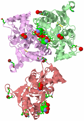 Image Asym./Biol. Unit - sites