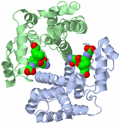 Image Biological Unit 1