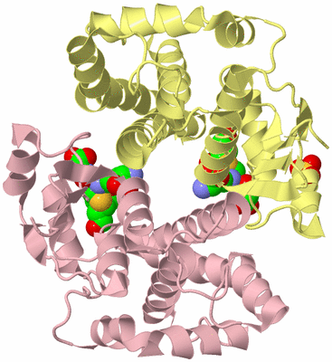 Image Biological Unit 2