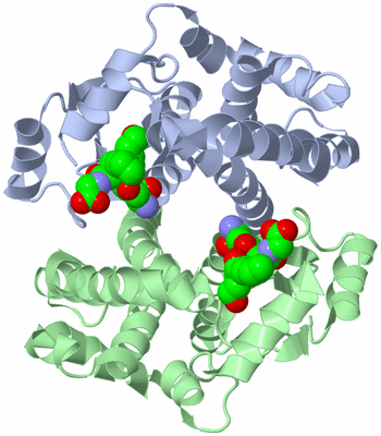 Image Biological Unit 1