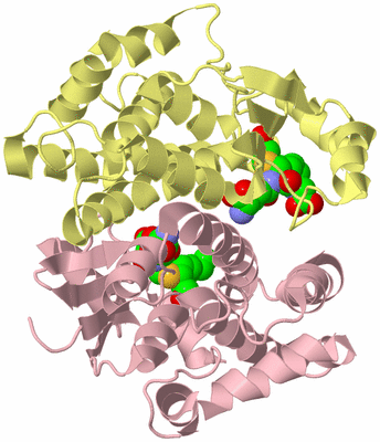 Image Biological Unit 2