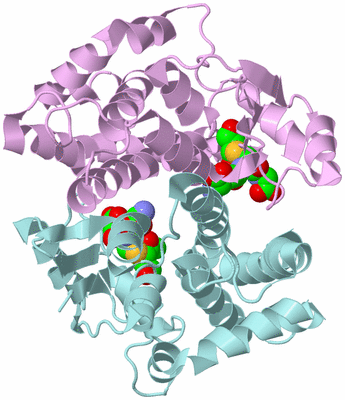 Image Biological Unit 3