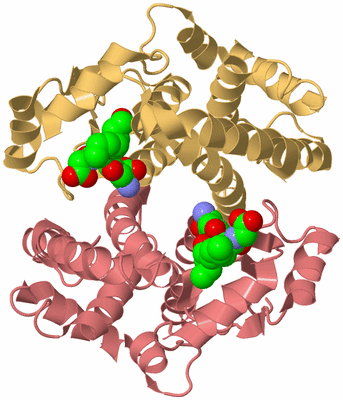 Image Biological Unit 4