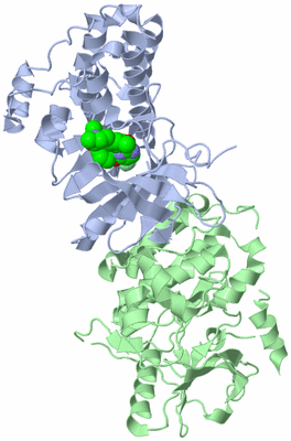 Image Biological Unit 3