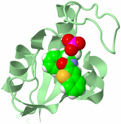 Image Biological Unit 2