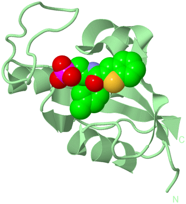 Image Biological Unit 2