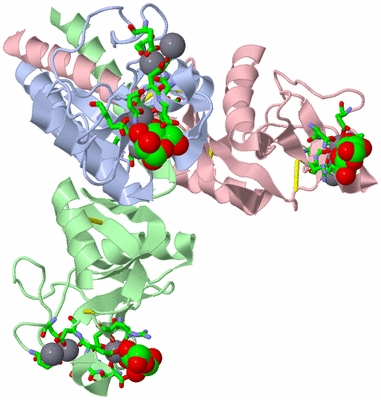 Image Asym./Biol. Unit - sites