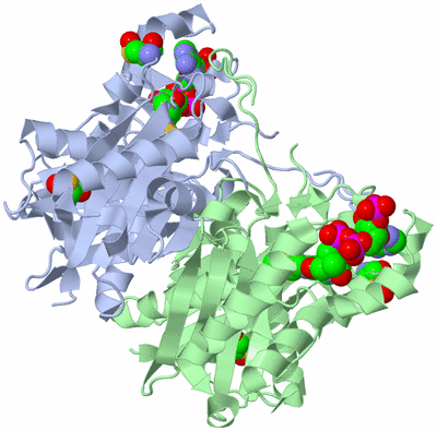 Image Biological Unit 1