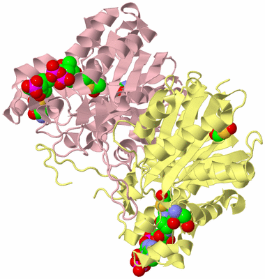 Image Biological Unit 2