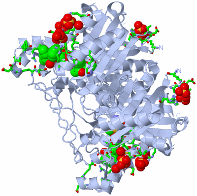 Image Biol. Unit 1 - sites