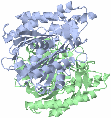 Image Asym./Biol. Unit