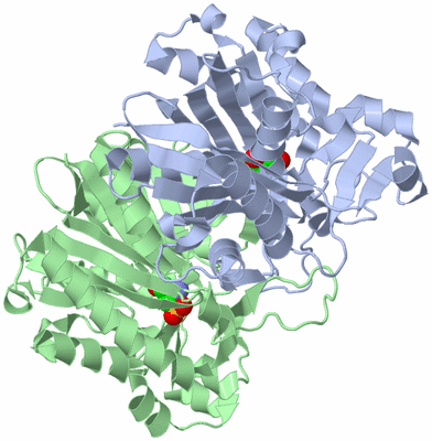 Image Asym./Biol. Unit