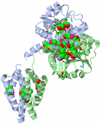 Image Asym./Biol. Unit - sites