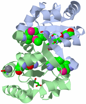 Image Biol. Unit 1 - sites