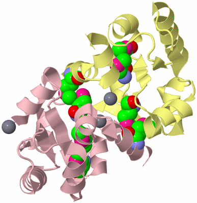 Image Biological Unit 2