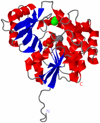 Image Asym./Biol. Unit