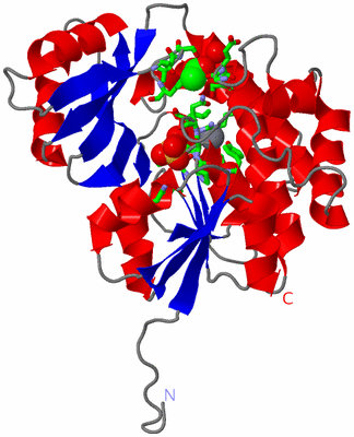 Image Asym./Biol. Unit - sites