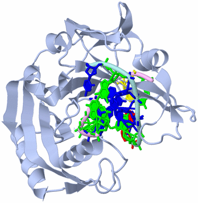 Image Biological Unit 1