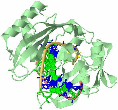 Image Biological Unit 2