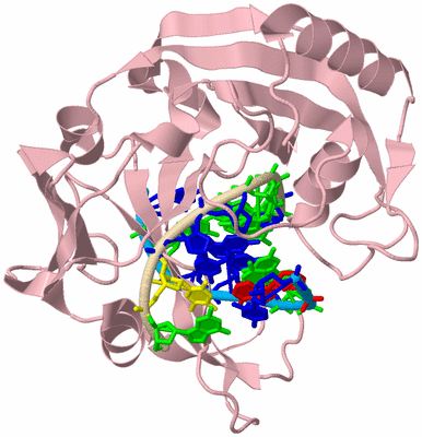 Image Biological Unit 3