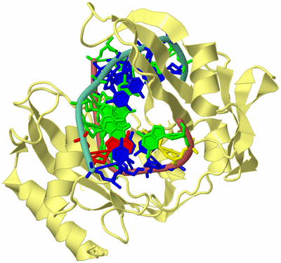 Image Biological Unit 4