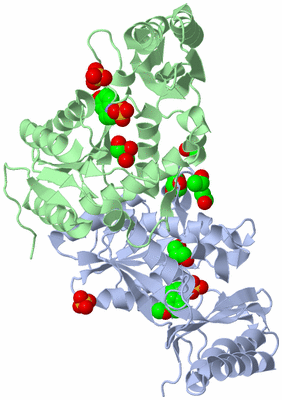 Image Biological Unit 1