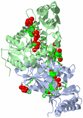 Image Biol. Unit 1 - sites