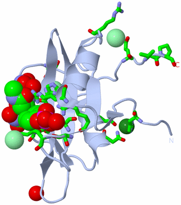 Image Biol. Unit 1 - sites