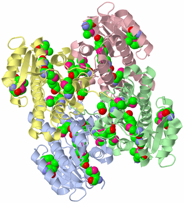 Image Asym./Biol. Unit