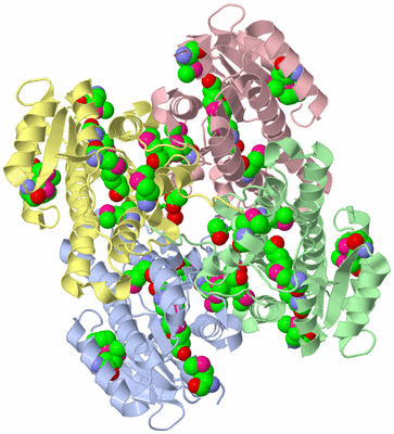 Image Asym./Biol. Unit - sites