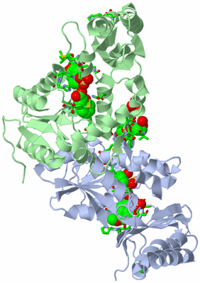 Image Biol. Unit 1 - sites