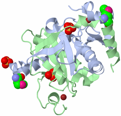 Image Biological Unit 1