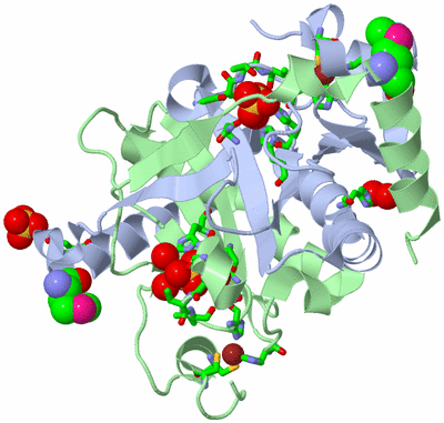 Image Biol. Unit 1 - sites