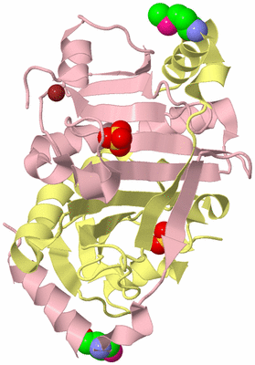 Image Biological Unit 2