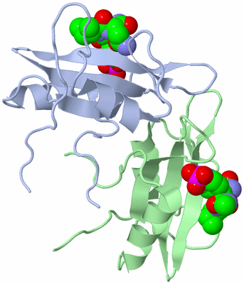 Image Biological Unit 3