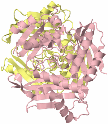 Image Biological Unit 2