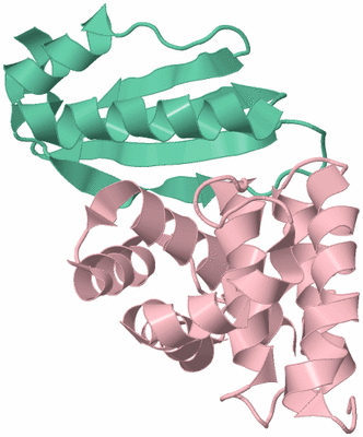 Image Biological Unit 3