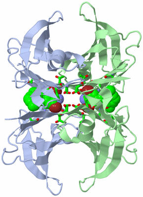 Image Biol. Unit 1 - sites