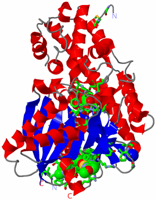 Image Asym./Biol. Unit - sites