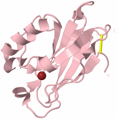 Image Biological Unit 3