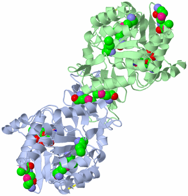 Image Biological Unit 1