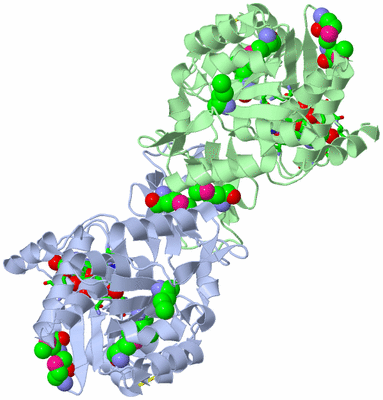 Image Biol. Unit 1 - sites