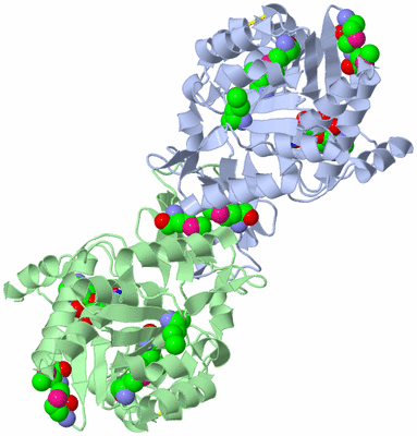 Image Biological Unit 2