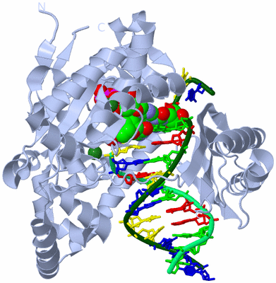 Image Biological Unit 1