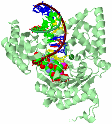 Image Biological Unit 2